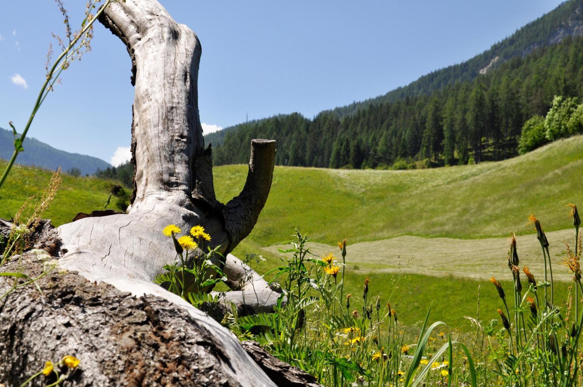 Guesthouse Rungg Badia (South Tyrol) Exterior foto